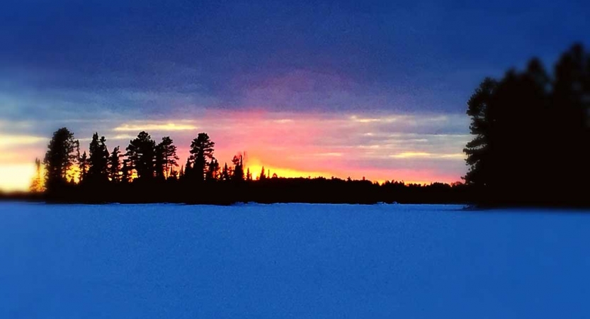 The sky appears in gentle colors above trees and snow